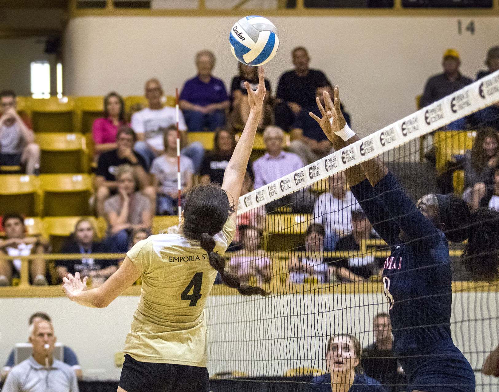 Hornets win three sets against Jets